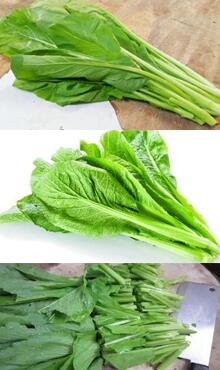 春菜圖片細(xì)節(jié)