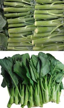 芥蘭圖片細節(jié)