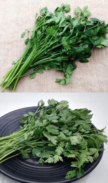 香芹圖片細節(jié)